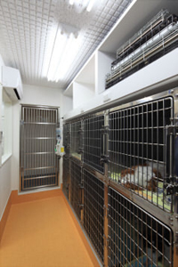 東京都杉並区 動物病院の入院室と大型犬入院室